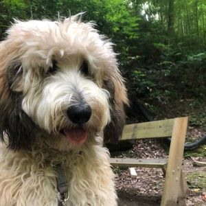 Meet your Posher, Daniel